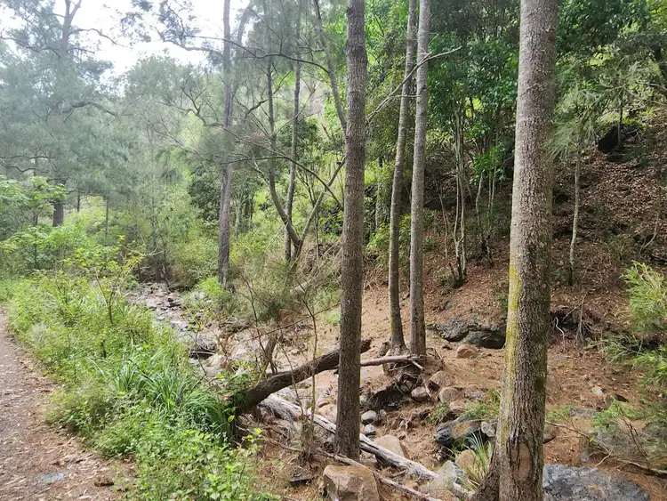 LOT 887 Rossmore Road, Black Snake QLD 4600