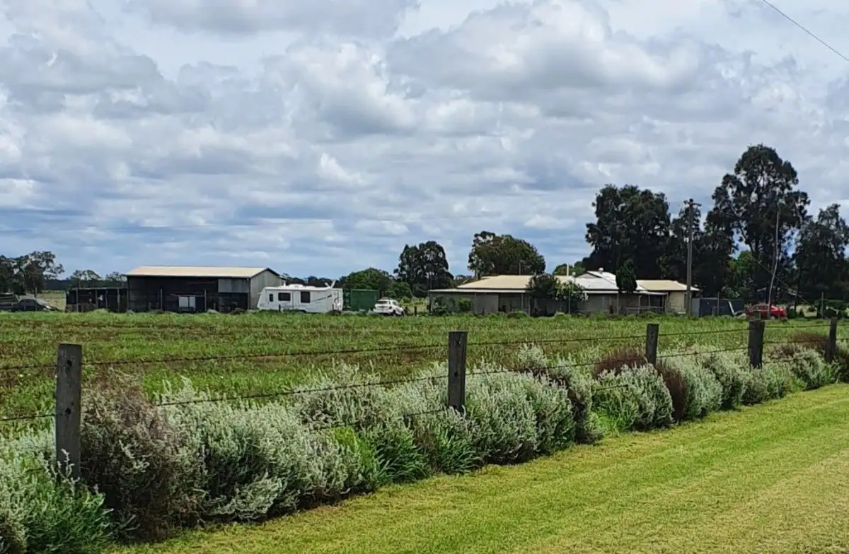 Main view of Homely house listing, 406 Oakey-Kelvinhaugh Road, Oakey QLD 4401