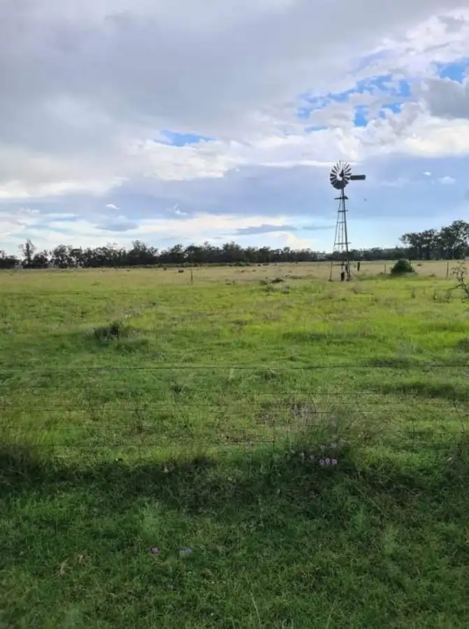 Seventh view of Homely house listing, 406 Oakey-Kelvinhaugh Road, Oakey QLD 4401