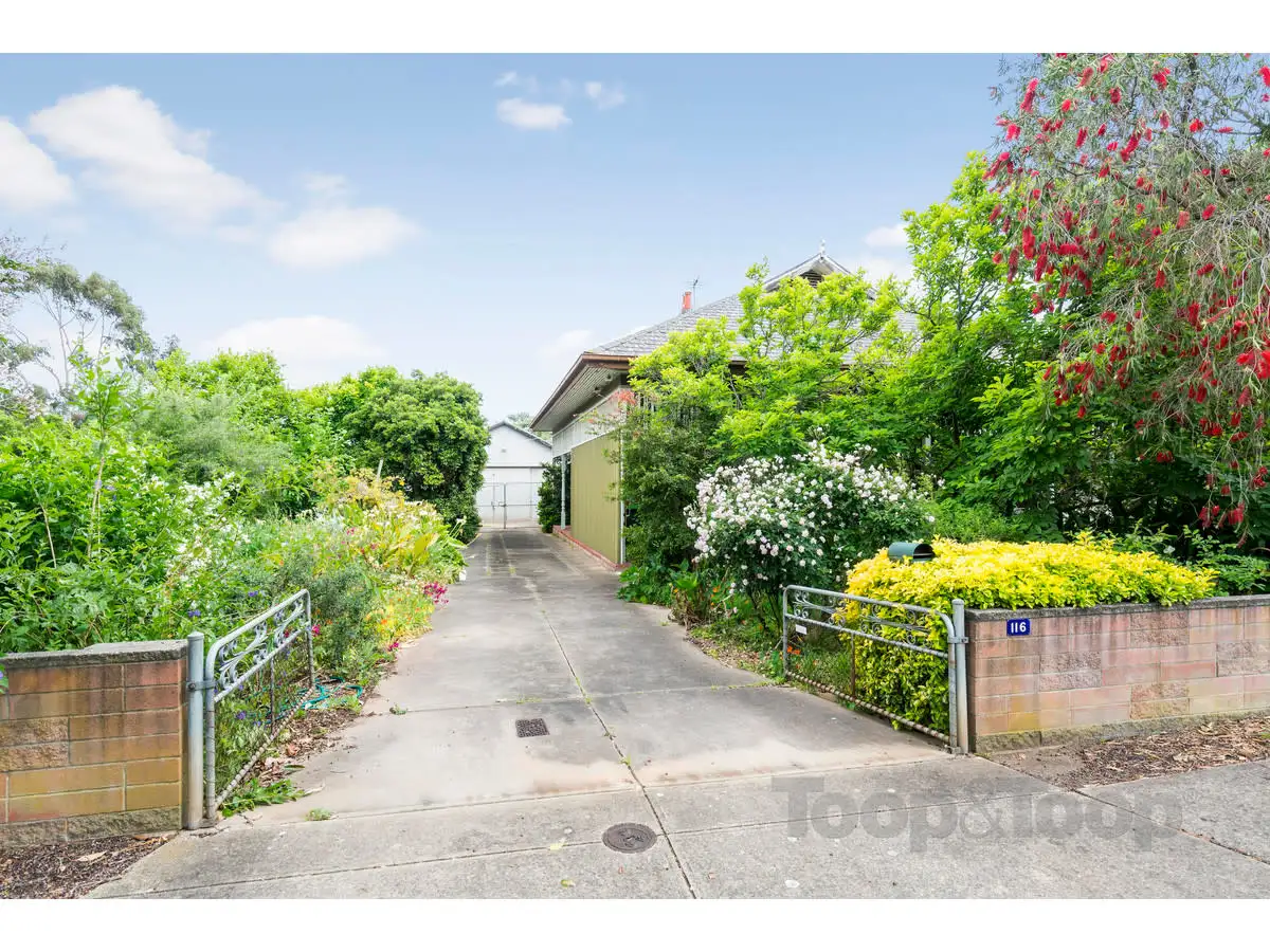 Main view of Homely house listing, 116 Third Avenue, Royston Park SA 5070