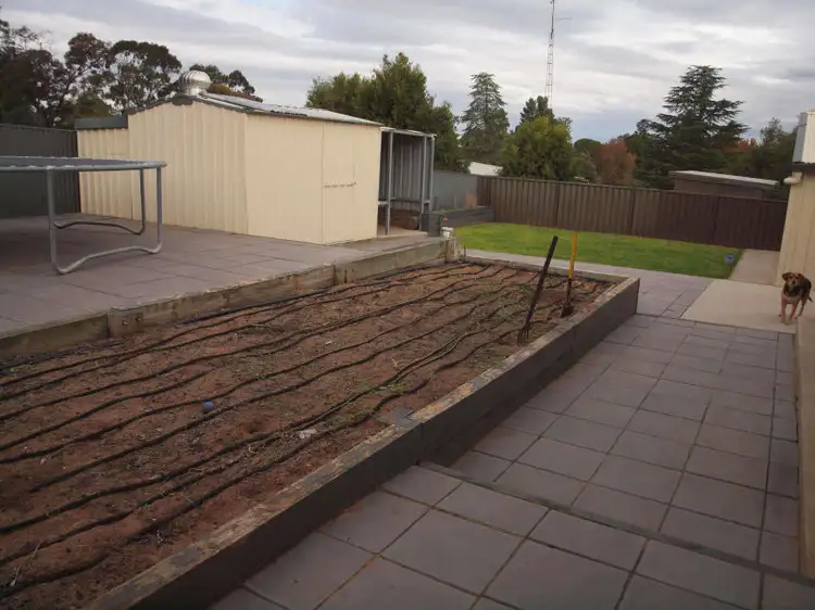 Seventh view of Homely house listing, 37 Frederica Street, Narrandera NSW 2700