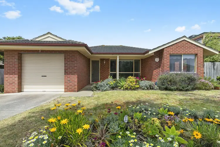 8 Boscarne Avenue, Torquay VIC 3228