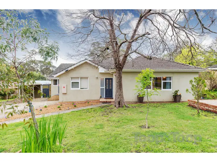 36 Alison Avenue, Blackwood SA 5051