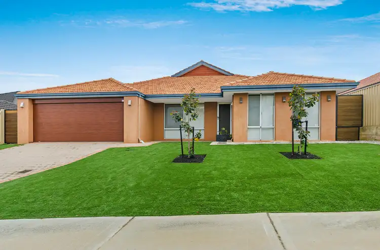 7 Swavesey Avenue, Butler WA 6036