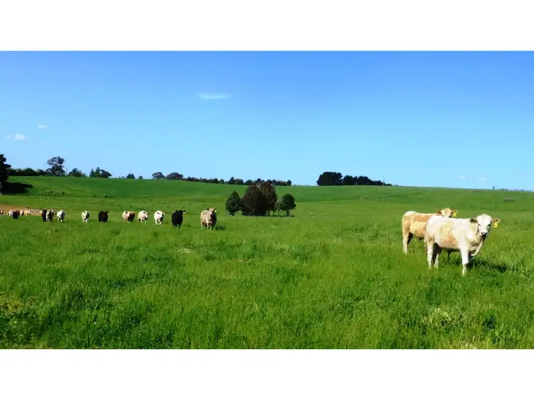 Second view of Homely rural property listing, 102 Favell Road, Orange NSW 2800