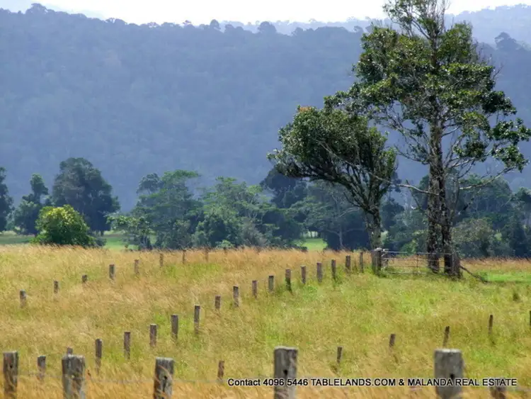 Fifth view of Homely rural property listing, F1142 Lot 539 Maalan Road, Millaa Millaa QLD 4886