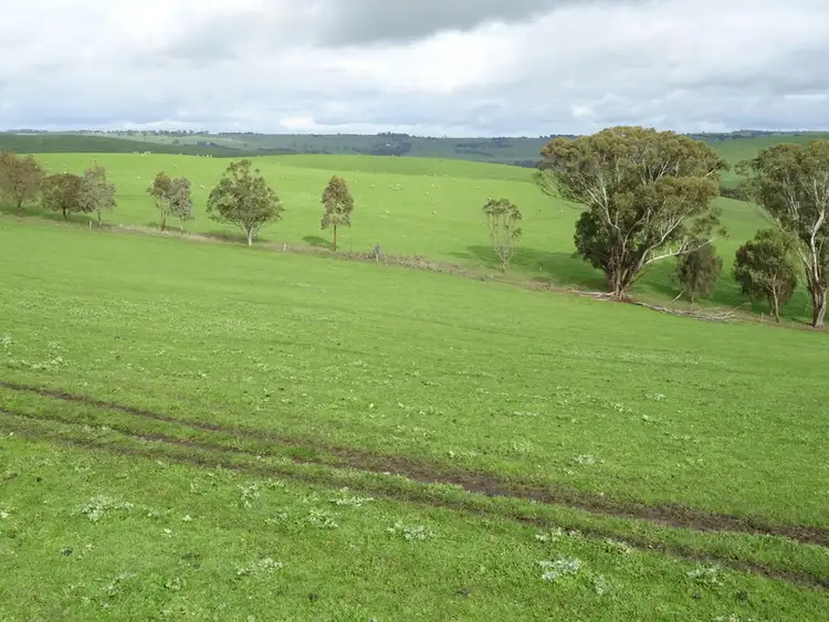 Fourth view of Homely rural property listing, McInnes Road, Coleraine VIC 3315