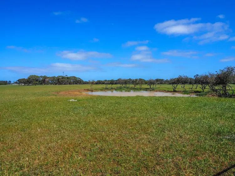 Fifth view of Homely rural property listing, 1510 Flinders Highway, Coomunga SA 5607