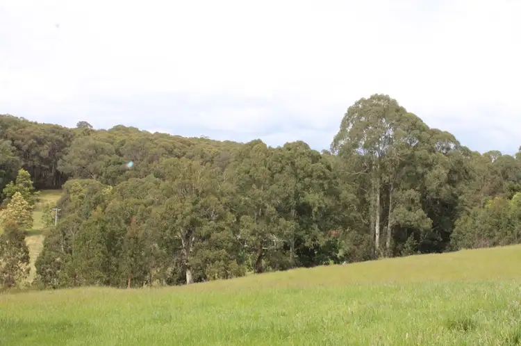 Fourth view of Homely rural property listing, 18 Frizon Street, Forrest VIC 3236