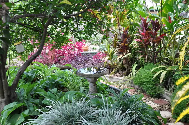 Fourth view of Homely house listing, 18 Chewko Road, Mareeba QLD 4880