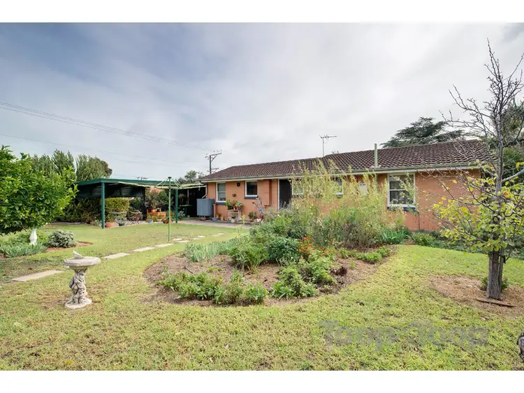 Second view of Homely house listing, 19 Clifford Street, Dover Gardens SA 5048