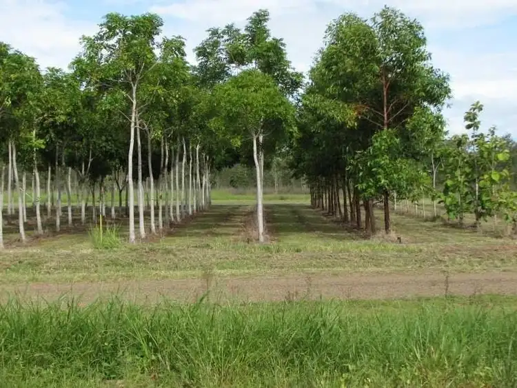 Fourth view of Homely rural property listing, 188 Fumar Road, Dimbulah QLD 4872
