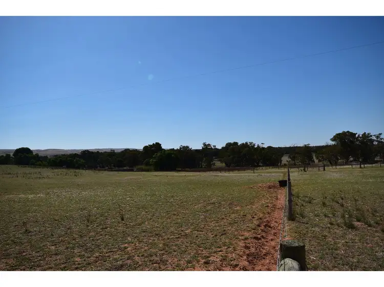 Third view of Homely rural property listing, 22 Redbank Road, Cambrai SA 5353