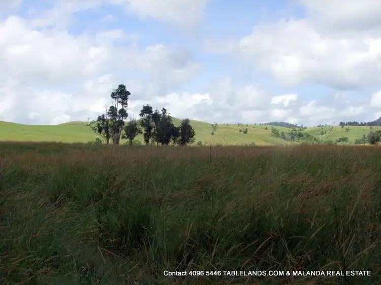 Fifth view of Homely rural property listing, F1143 Lot 549 Maalan Road, Millaa Millaa QLD 4886