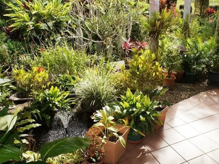 Fifth view of Homely house listing, 20 Waterlily Close, Nunderi NSW 2484