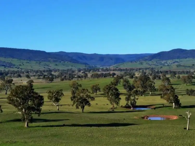 Fifth view of Homely rural property listing, LOT 2, 149 McLeods Lane, Mansfield VIC 3722