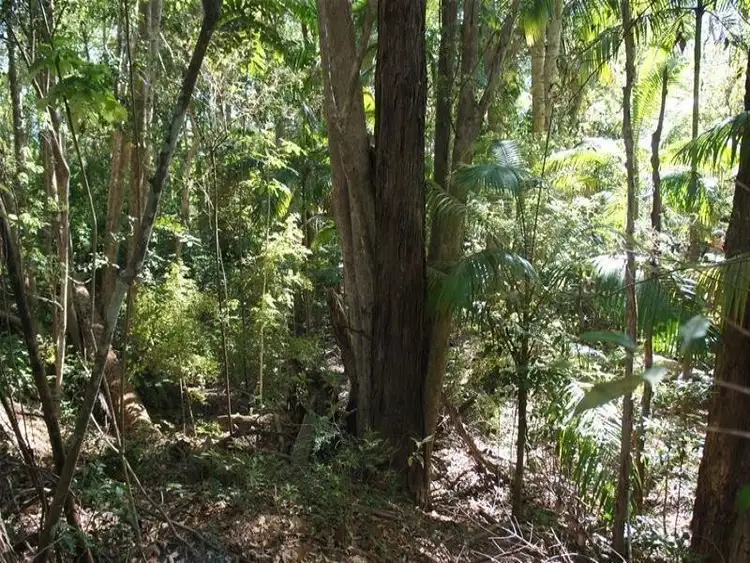 Seventh view of Homely land listing, 30 Tree Street, Murwillumbah NSW 2484