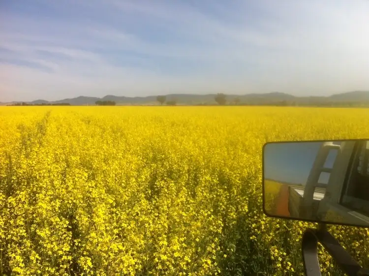 Second view of Homely rural property listing, 390 Prices Road, Tamworth NSW 2340