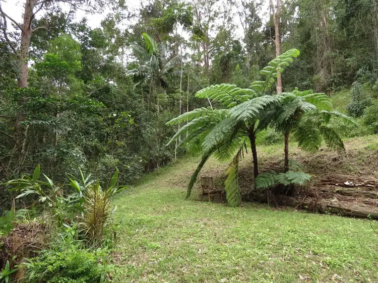Sixth view of Homely rural property listing, 911 Kyogle Road, Uki NSW 2484