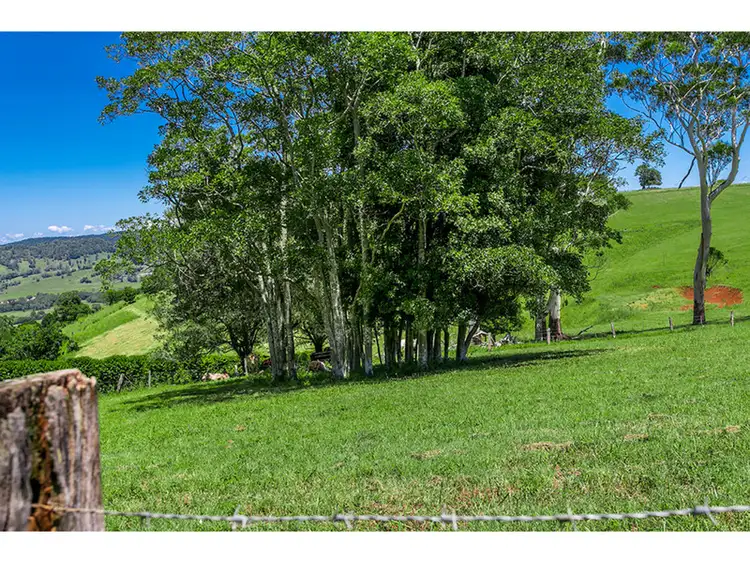 Fifth view of Homely rural property listing, 236 Koonorigan Road, Koonorigan NSW 2480