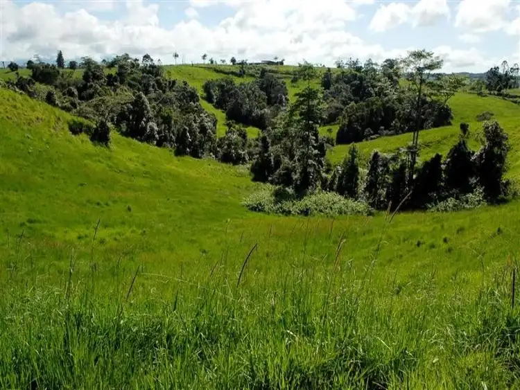 Sixth view of Homely rural property listing, LS236/Lot 1 Theresa Creek Road, Millaa Millaa QLD 4886