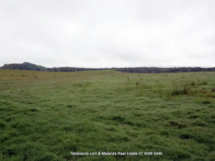 Seventh view of Homely rural property listing, F324 323 McKeown Road, East Barron QLD 4883