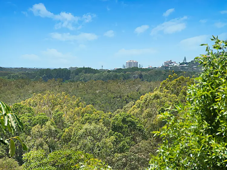 Third view of Homely rural property listing, 226A Arcoona Rd, Yandina Creek QLD 4561