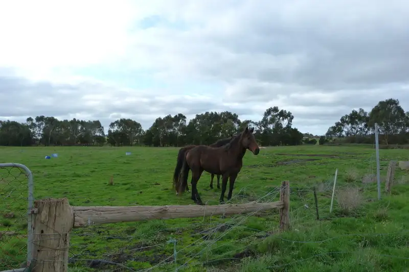 Main view of Homely rural property listing, 28-40 Ryans Road, Pirron Yallock VIC 3249