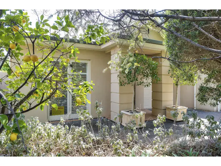 13 Leader Avenue, Toorak Gardens SA 5065