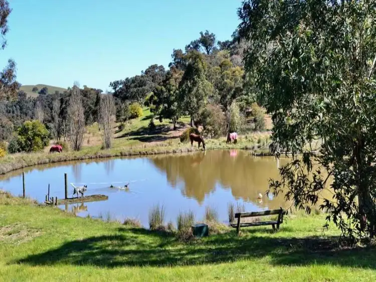 Fifth view of Homely rural property listing, 99 Kiernans Road, Bonnie Doon VIC 3720