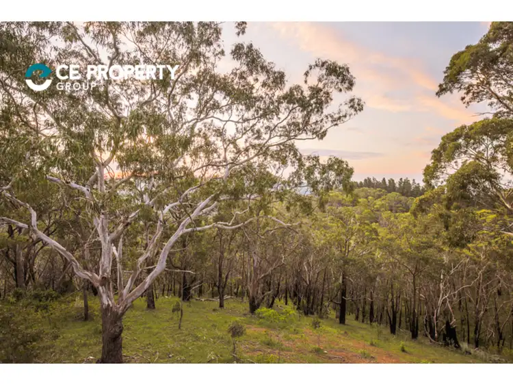 Third view of Homely rural property listing, 273 Mawson Road, Basket Range SA 5138