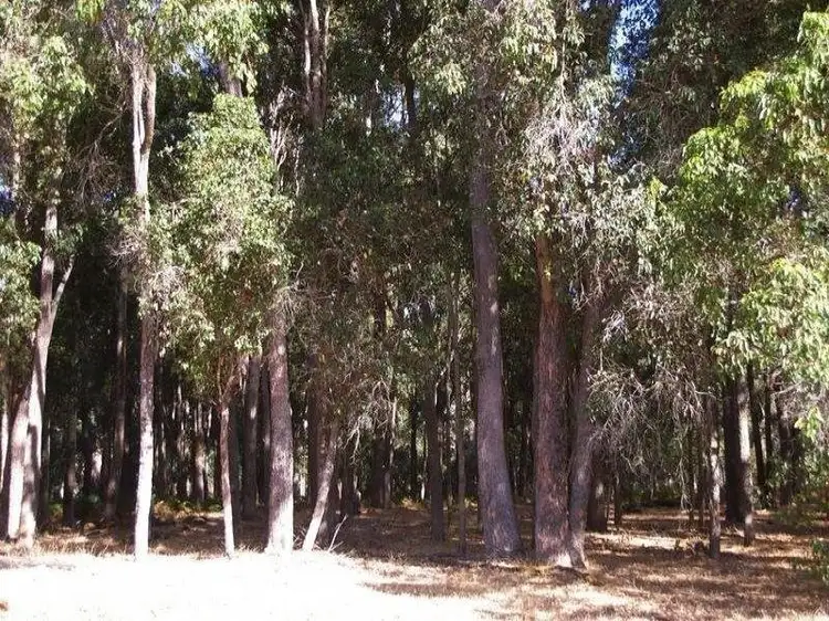 Fourth view of Homely house listing, 5 King Road, Nannup WA 6275