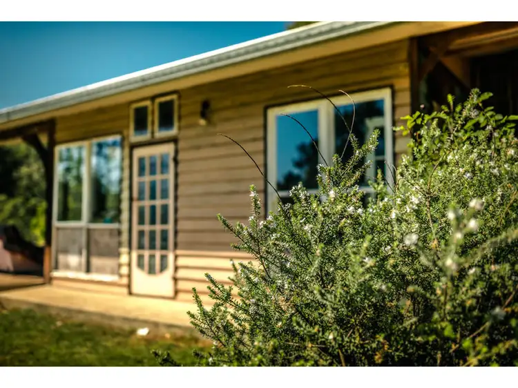 Second view of Homely rural property listing, 178 Boggy Creek Rd, Bellingen NSW 2454