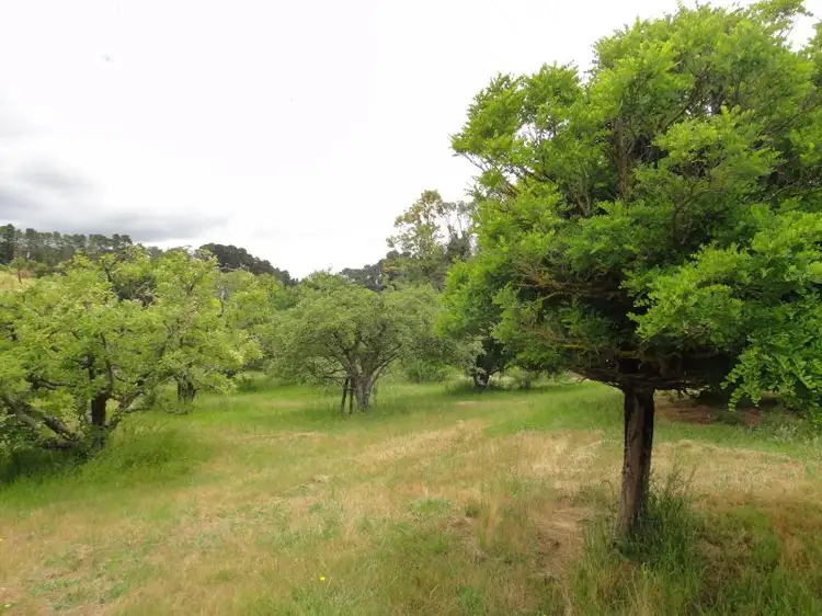 Seventh view of Homely rural property listing, 73 Swamp Road, Lenswood SA 5240