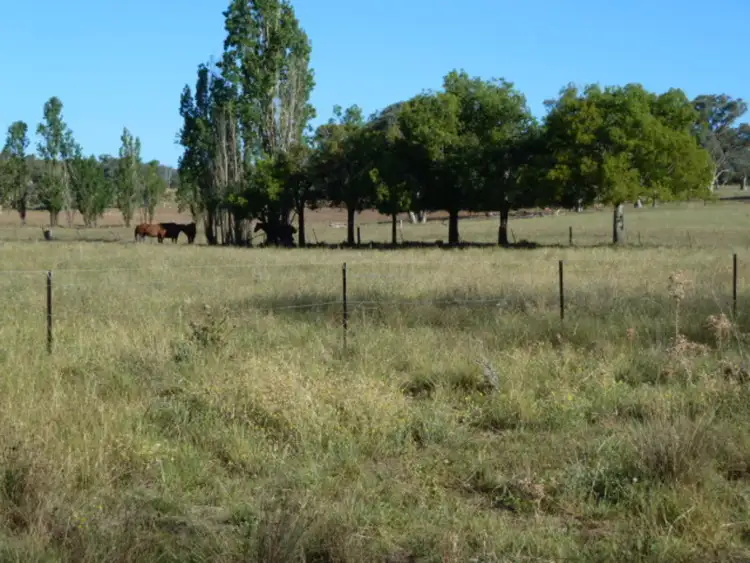 Second view of Homely house listing, 197 Bicton Lane, Molong NSW 2866