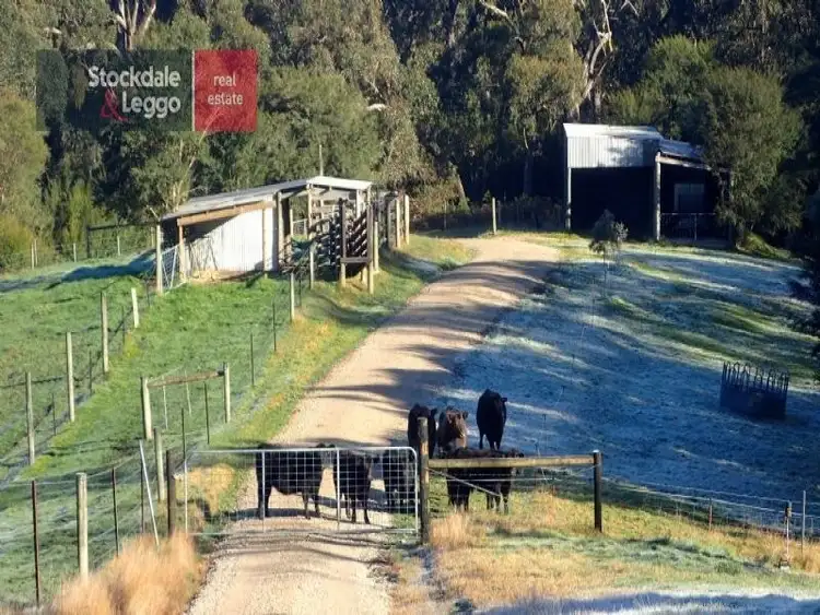 370 Purvis Road, Tanjil South VIC 3825