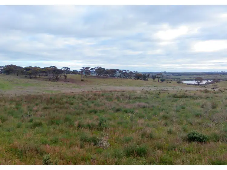 Sixth view of Homely rural property listing, 599, LOT 599 Caloote Road, Caloote SA 5254
