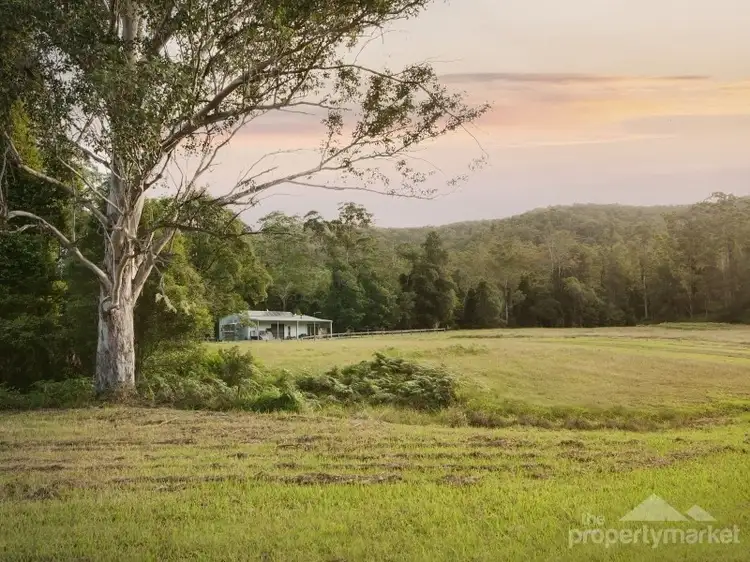 1788 Dooralong Road, Lemon Tree NSW 2259