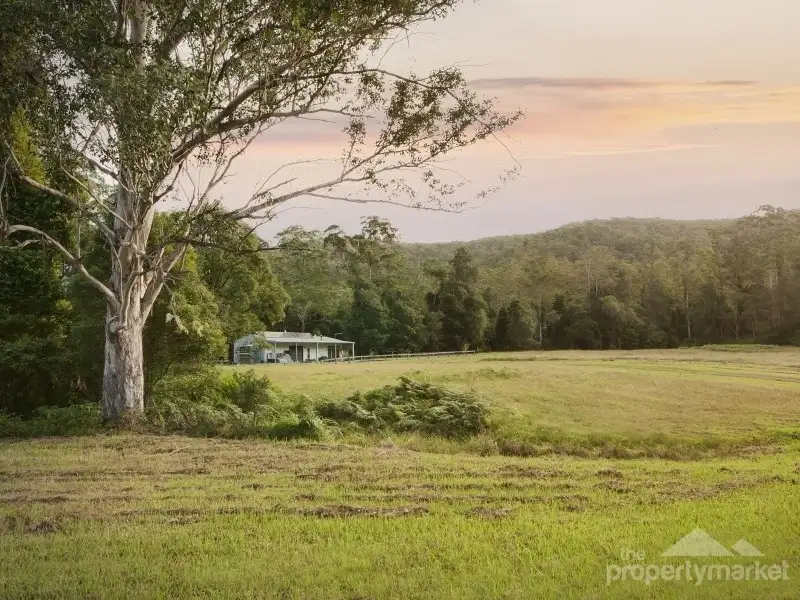 Main view of Homely rural property listing, 1788 Dooralong Road, Lemon Tree NSW 2259