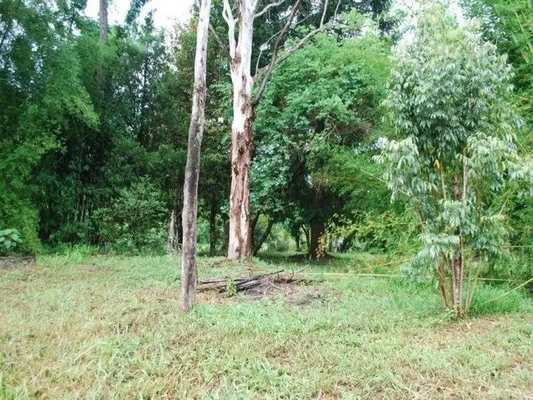 Seventh view of Homely rural property listing, 433 Byrrill Creek Road, Uki NSW 2484