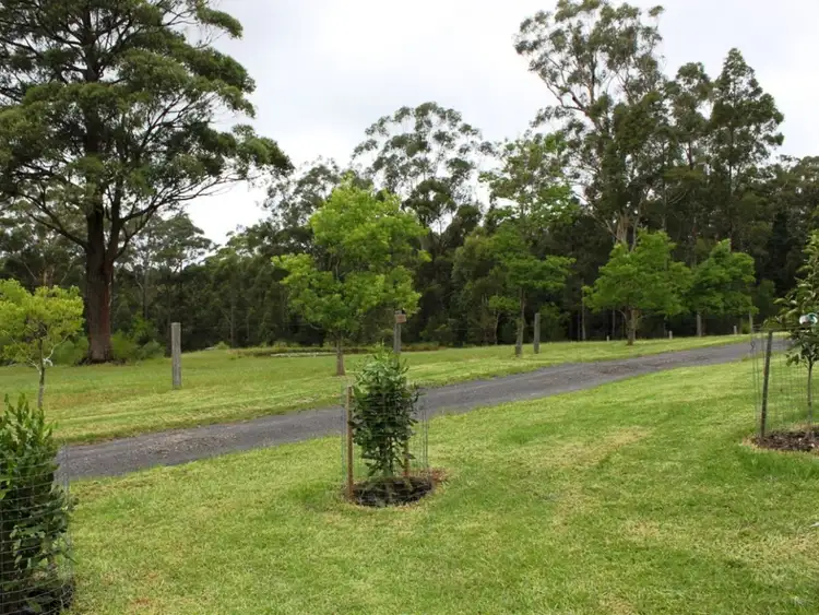 Sixth view of Homely rural property listing, 40 Willinga Road, Bawley Point NSW 2539