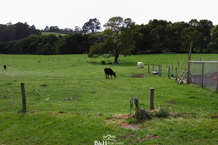 Sixth view of Homely rural property listing, 80 Penima Road, Ridgley TAS 7321
