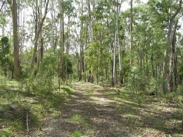 Seventh view of Homely rural property listing, Mahaikah Road, Tolmie VIC 3723