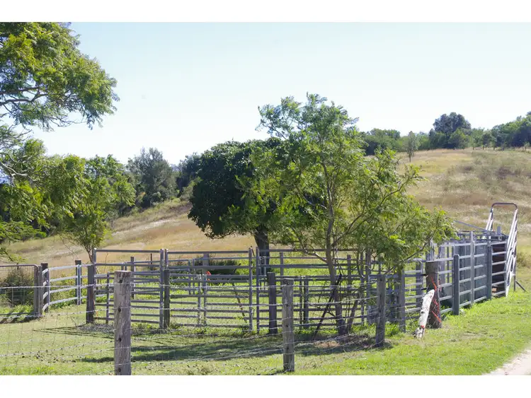 Fourth view of Homely rural property listing, 3 Hauser Road, Blenheim QLD 4341