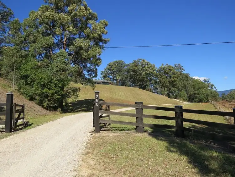 Fifth view of Homely rural property listing, 250 Tyalgum Ridge Road, Tyalgum NSW 2484
