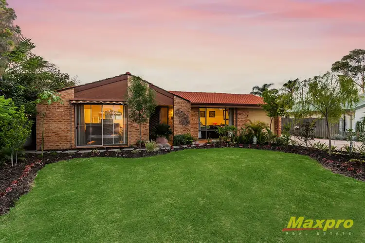 46 Bursaria Crescent, Ferndale WA 6148