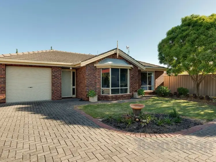 Main view of Homely unit listing, 3/13A Heggaton Terrace, Newton SA 5074