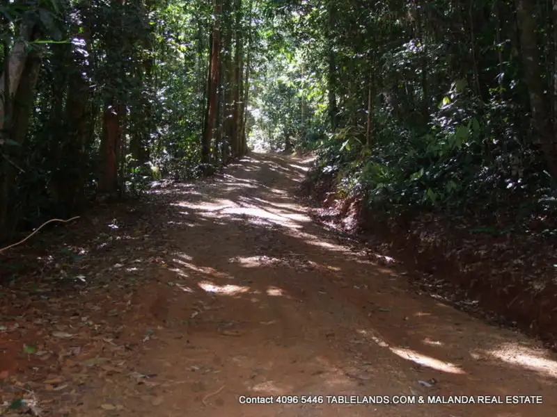 Main view of Homely rural property listing, LS1465 RN1739 Old Palmerston Highway, Millaa Millaa QLD 4886