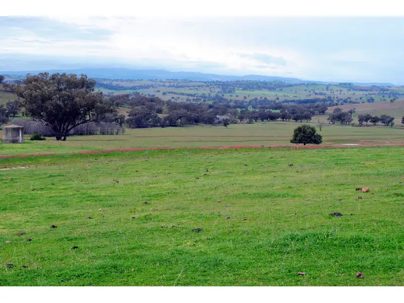 Main view of Homely rural property listing, 'Mackeys Spring' Coates Creek Road, Manildra NSW 2865