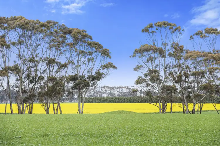 7520 Hamilton Highway, Berrybank VIC 3323